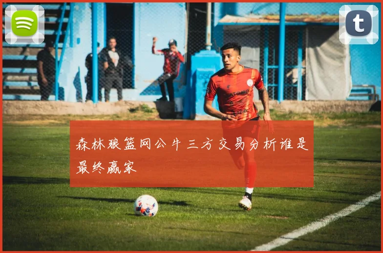 森林狼篮网公牛三方交易分析谁是最终赢家